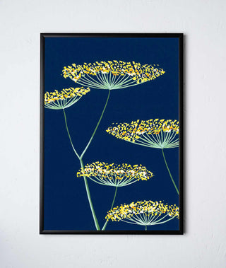 FENNEL ON NAVY